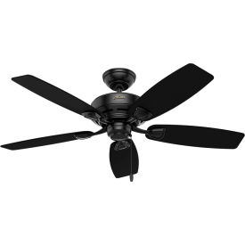 Example of GoVets Ceiling Fans category