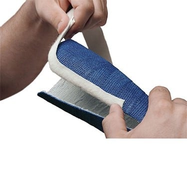 Example of GoVets Delta Cast category