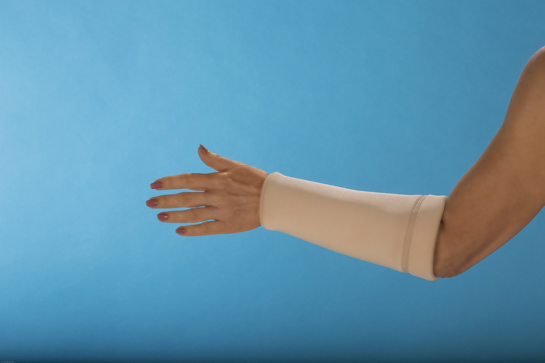 Example of GoVets Dermasaver category