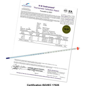H-B DURAC Plus Calibrated Liquid-In-Glass Thermometer 30 to 124F 76mm Immersion 602050700