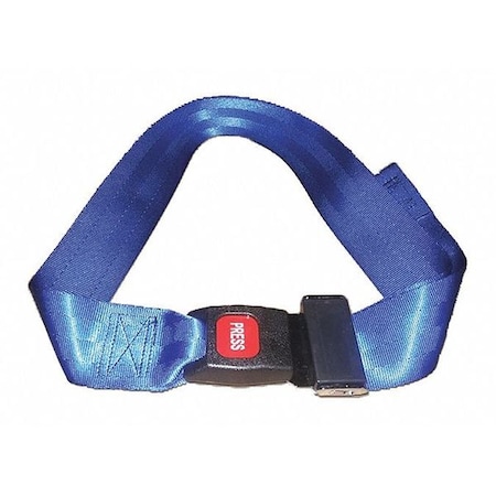Strap, Blue, 3 ft. L x 2-1/2