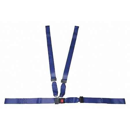 Strap, Blue, 6 ft. L x 2-1/2
