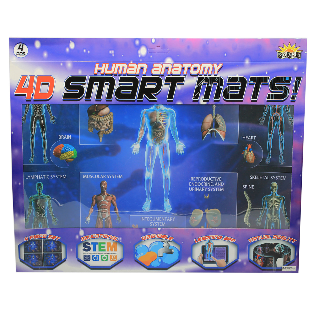 Popar Human Anatomy Smart Mats, Set Of 4 MPN:IEPSMHA
