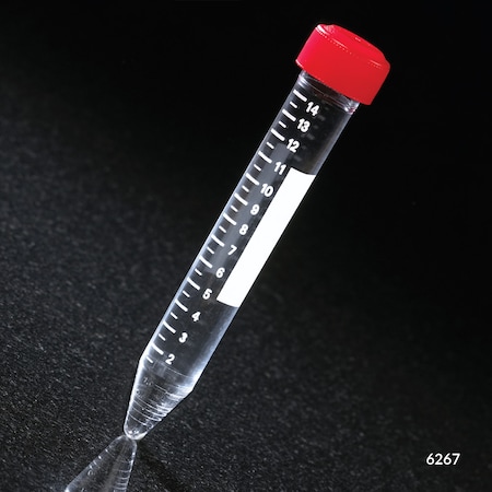Blk Phil Oval Tek Screws 8X1