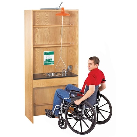 Shower/Eyewash Station, ADA Unit, Oak MPN:6900K-ADA