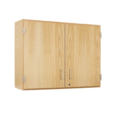 Wall Mount & Shelving Storage Cabinet, 30 in H, 48 in W, 2 Adjustable Shelves MPN:D03-4812