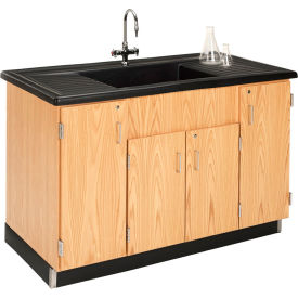 Diversified Spaces Science Clean-Up Sink with Oak Cabinet Base 3303K