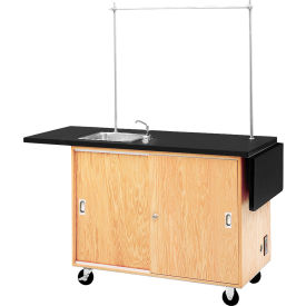 Diversified Spaces Mobile Science Workstation 48