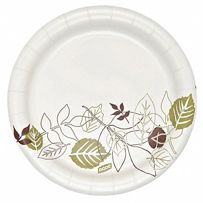 Example of GoVets Disposable Plates category