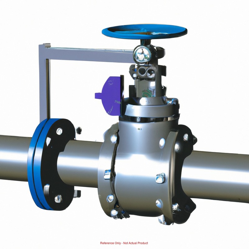 Cast Iron Threaded Foot Valve 2 MPN:DFVS25