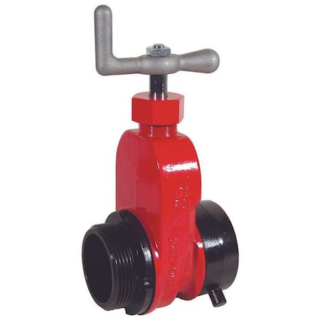 Gate Valve, Single, 2-1/2 In NST MPN:AHGV250F-I