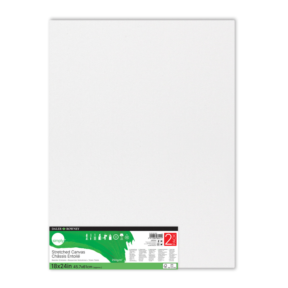 Daler-Rowney Simply Stretched Canvases, 24inH x 18inW x 3/8inD, White, Pack Of 2 Canvases MPN:PACD515031824