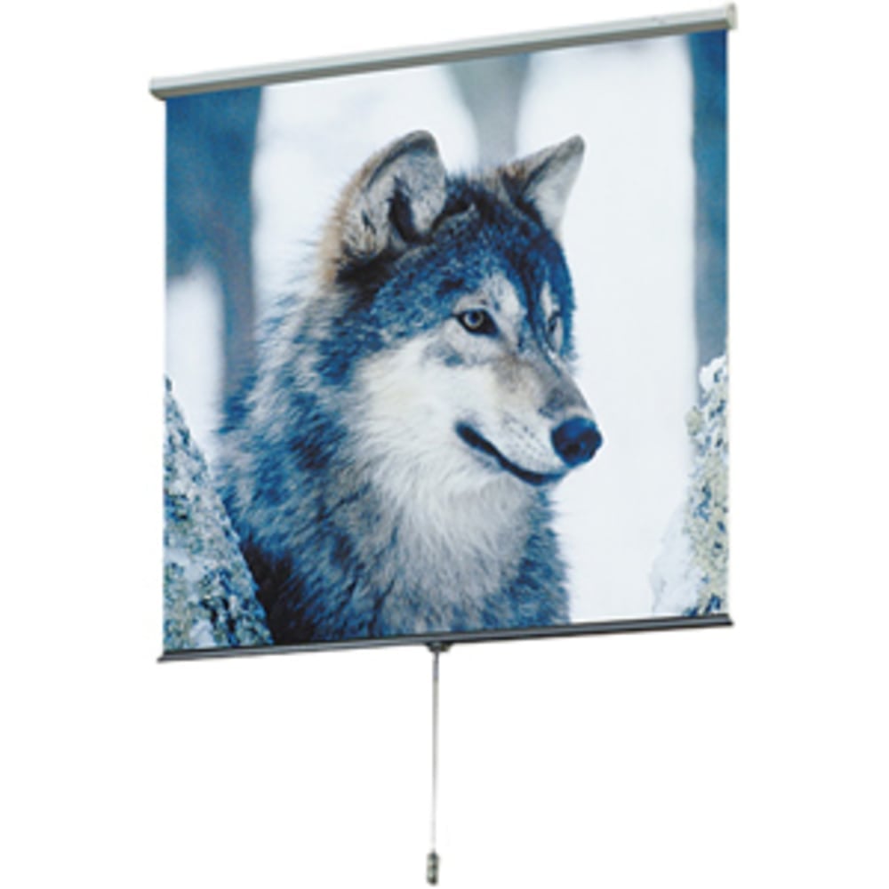 Draper Luma HDTV Format - Projection screen - ceiling mountable, wall mountable - 100in (100 in) - 16:9 - Matt White - white MPN:207205
