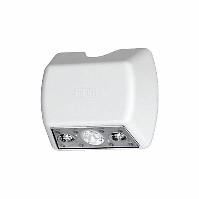 Example of GoVets Outdoor Led Light Fixtures category