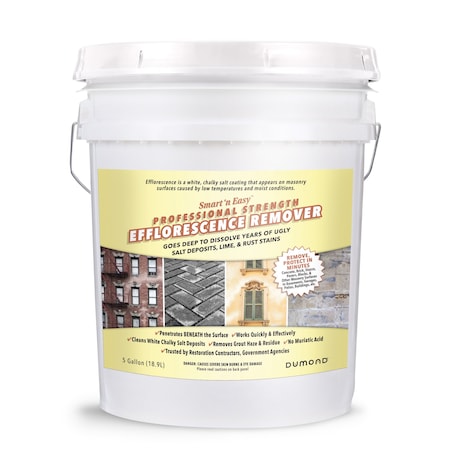 Smart n Easy Efflorescence Remover, 5 Gallon MPN:0911