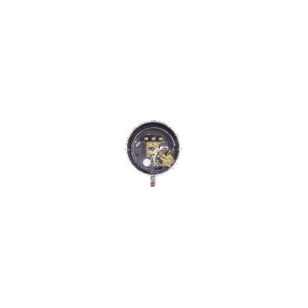 Pressure Switch, Standard, SPST, 1/4
