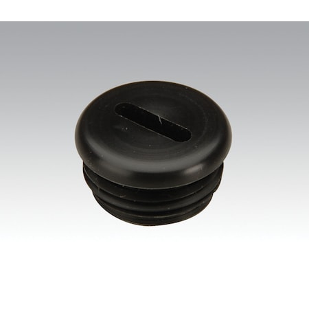 Throttle Valve Plug, 56076 MPN:56076