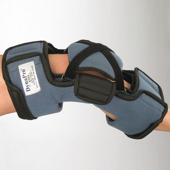 Example of GoVets Dynapro category