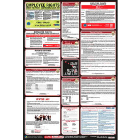 Labor Law Poster - Idaho PPG300ID