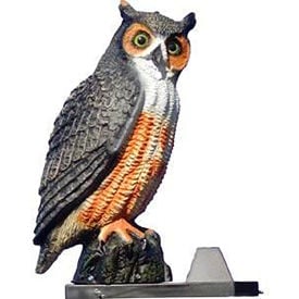 Bird Barrier® Screech Owl Visual & Audio Repellent Plastic Brown SD-OWL1