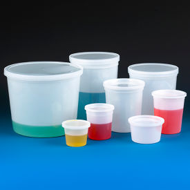 Multi-Purpose Container 32 oz. (960mL) Polypropylene Snap Lid Natural 100/Pack 271032