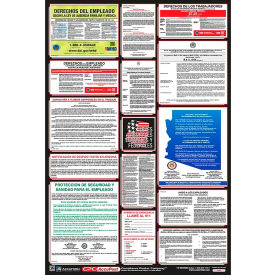 Labor Law Poster - Florida - Spanish PPG400FL