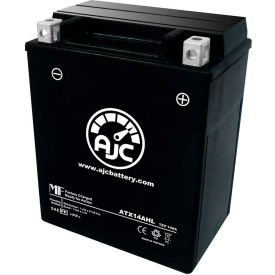 Example of GoVets Snowmobile Batteries category
