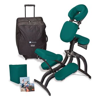 Example of GoVets Massage Chairs category