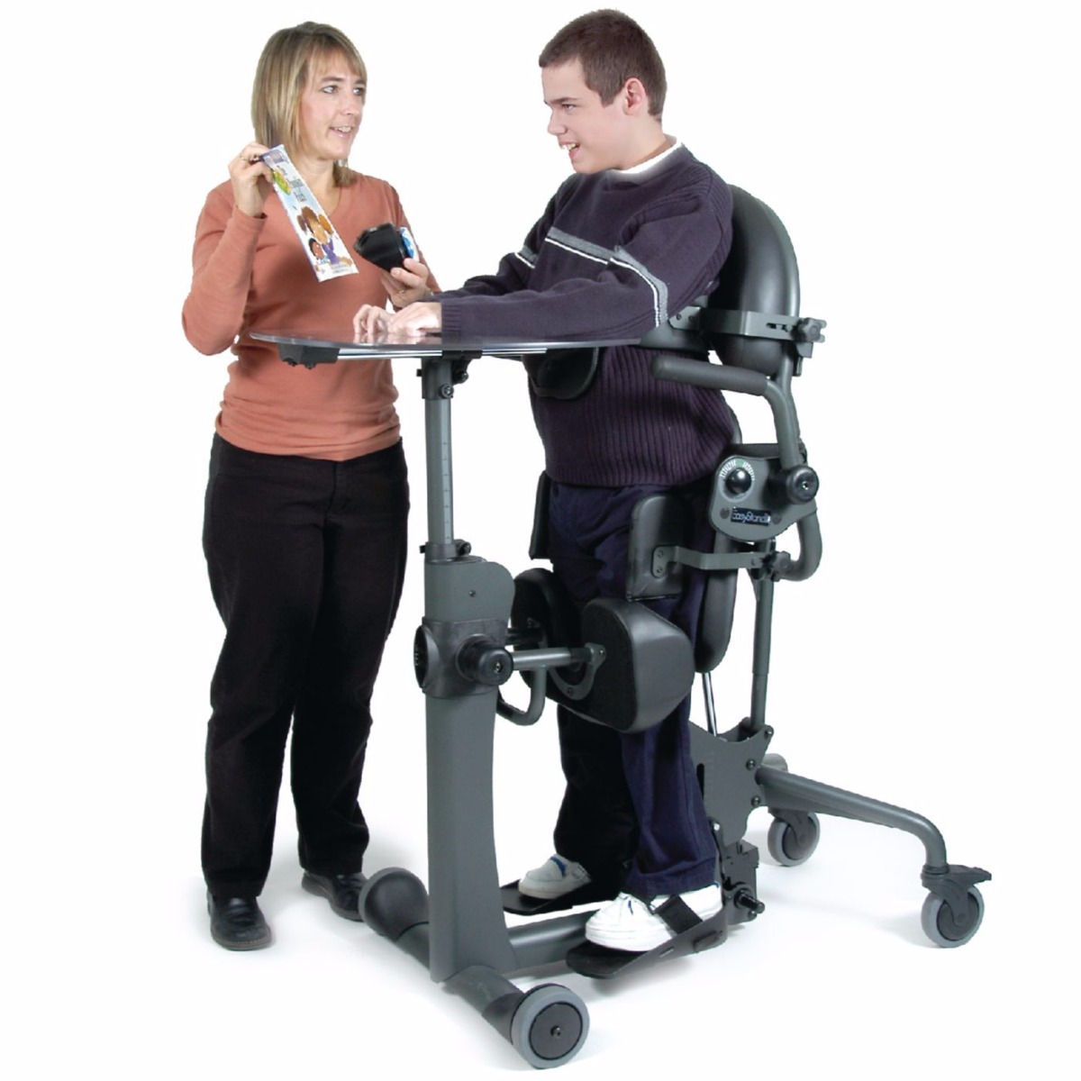 Example of GoVets Easystand category