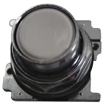 Flush Push Button, White, Non-Illum, 30mm MPN:10250T106