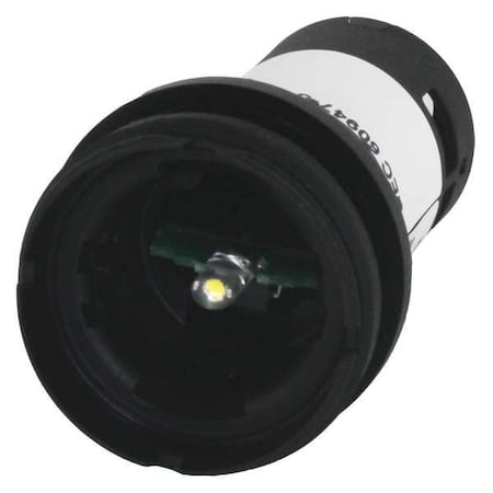 Flush Panel Light, White Bulb, 230 V AC MPN:C22-L-XW-230