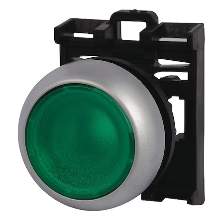 Ill Mtn Pb Sil-bzl Extd Grn, 22.5 mm, Green MPN:M22-DRL-G