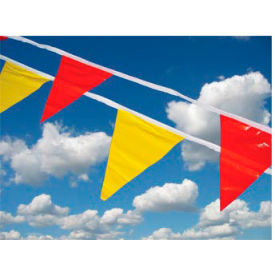 Example of GoVets Safety Flags category