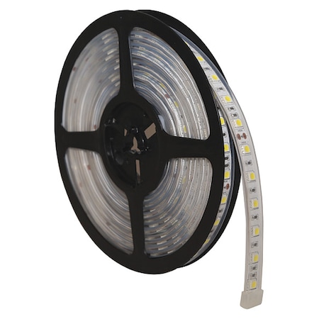Strip Lighting, Odd Shape, 192