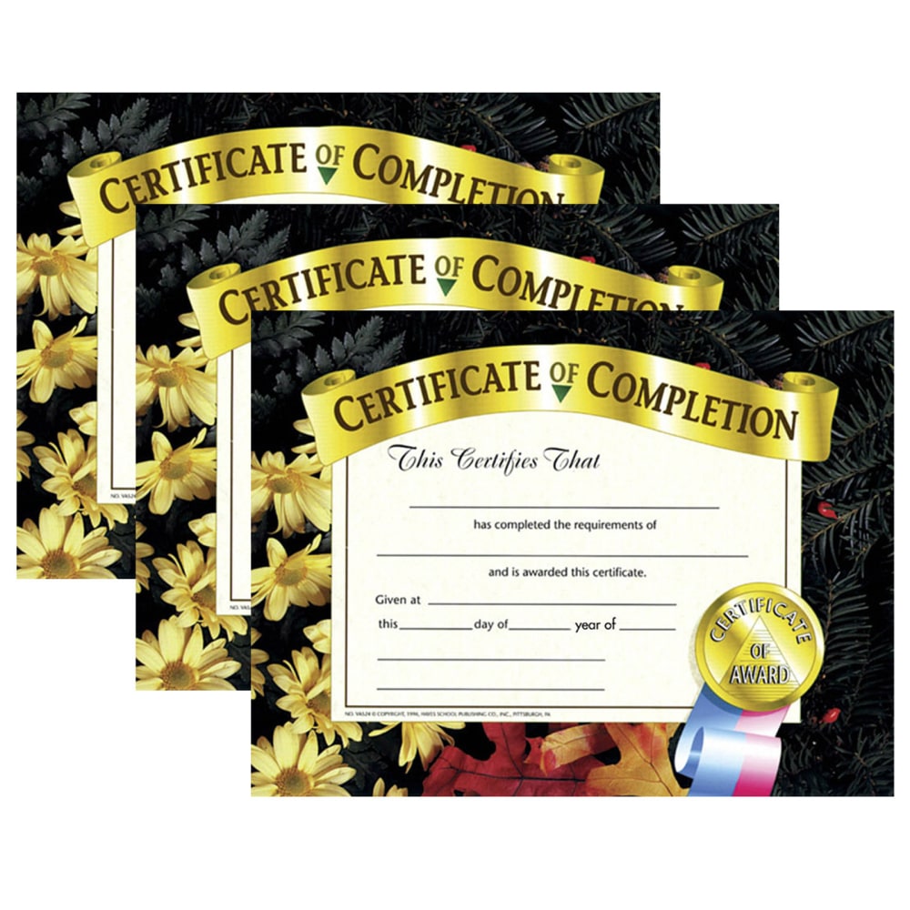 Hayes Publishing Certificate Of Completion, 8.5in x 11in, 30 Per Pack, Set Of 3 Packs, HVA5243 MPN:H-VA524-3