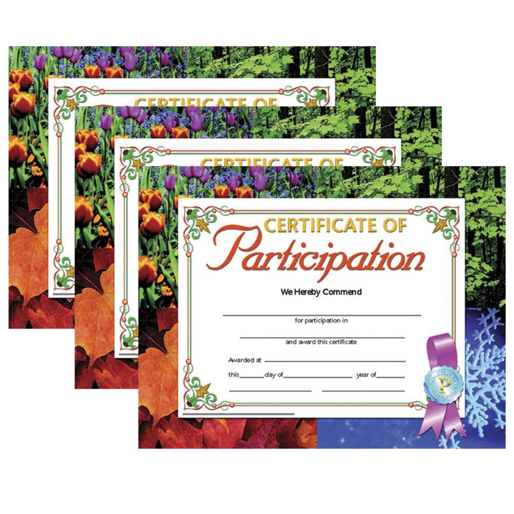 Hayes Publishing Certificate Of Participation, 8.5in x 11in, 30 Per Pack, Set Of 3 Packs MPN:H-VA633-3