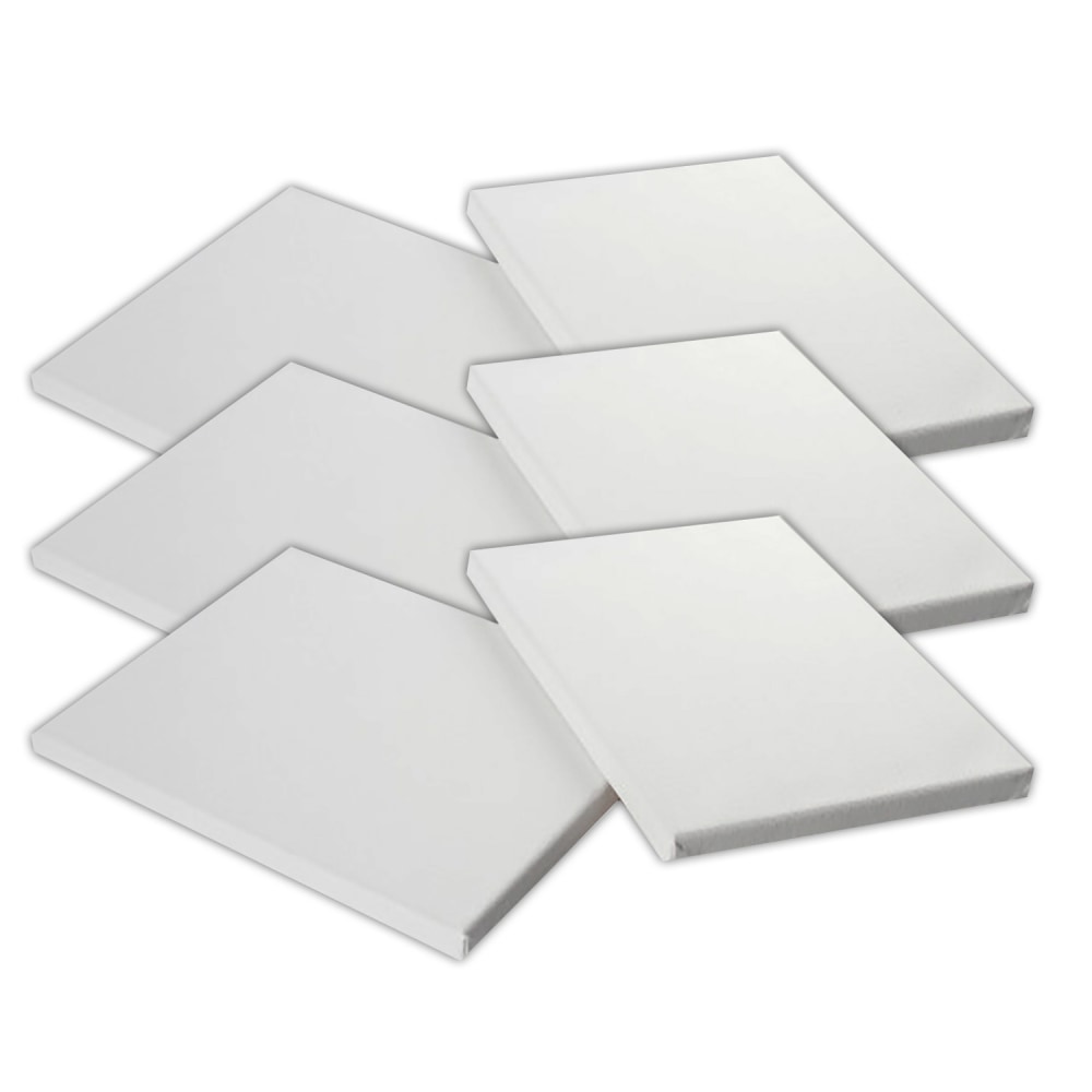 Daler-Rowney Simply Stretched Canvases, 12inH x 9inW x 3/8inD, White, 2 Canvases Per Pack, Bundle Of 3 Packs MPN:PACD515032330-3