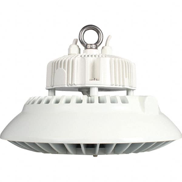 1 Lamp, 100 Watts, LED, High Bay Fixture MPN:09796