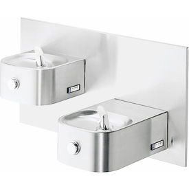 Elkay 2 Station Wall Mount Drinking Fountain w/ Cane Apron ADA Stainless Steel EDFP217C