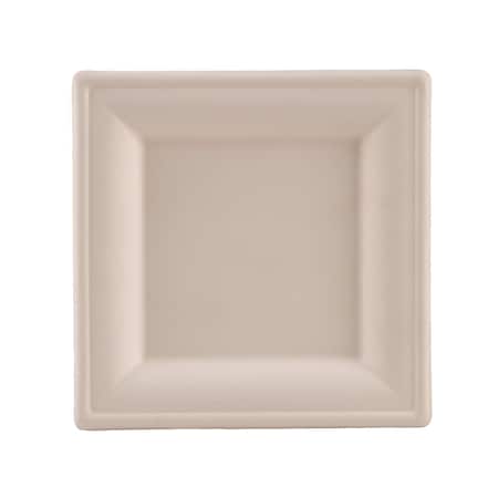 Compostable Square Plate, 10