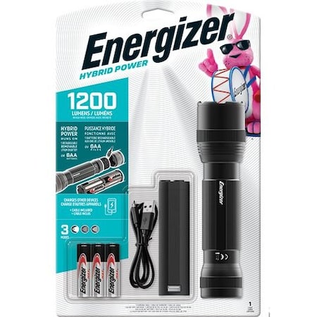 Example of GoVets Energizer category