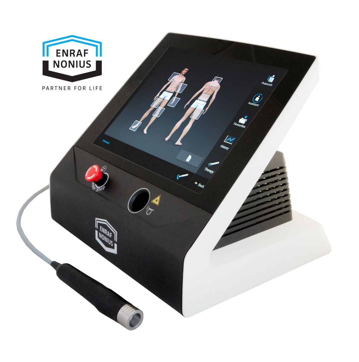 Example of GoVets Laser Therapy category