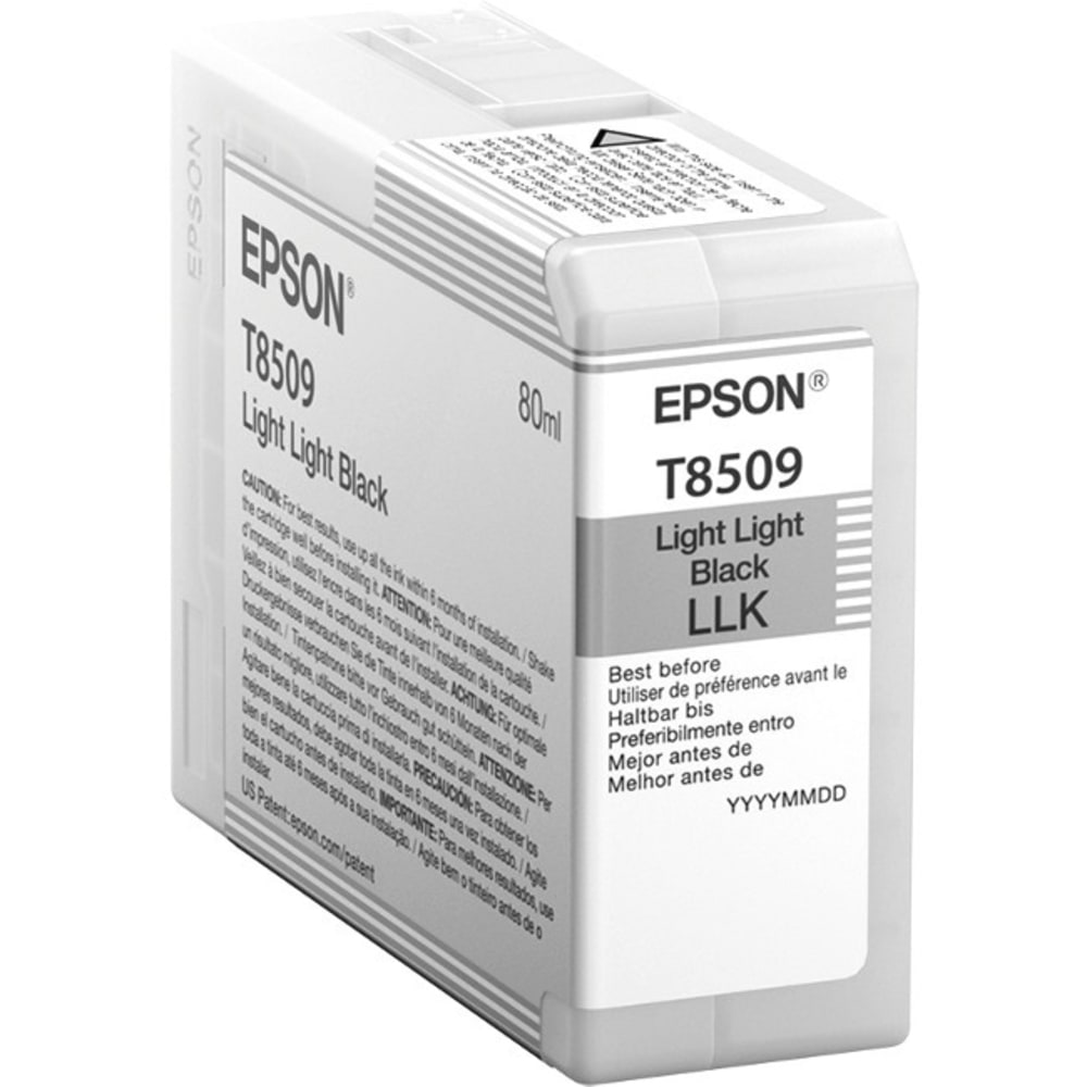 Epson UltraChrome HD T850 Original Ink Cartridge, Light Black, T850900 MPN:T850900