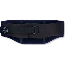 Ergodyne® ProFlex® 1500 Weight Lifters Style Back Support Black Medium 11472