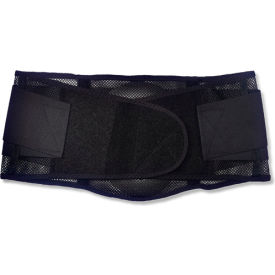 Ergodyne® ProFlex® 1051 Mesh Back Support Black Small 20183