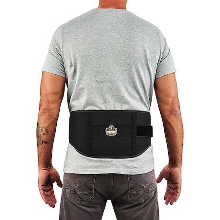 Pf PF1500-Bk (S) Back Support MPN:11471