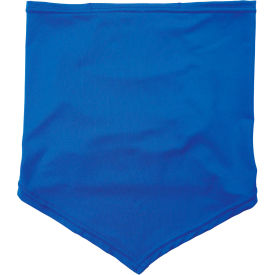 Ergodyne® Chill-Its® 6483 Cooling Neck Gaiter Bandana w/ Pocket L/XL Blue 42134