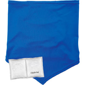 Ergodyne® Chill-Its® 6482 Cooling Neck Gaiter Bandana w/ Pocket S/M Blue 42135