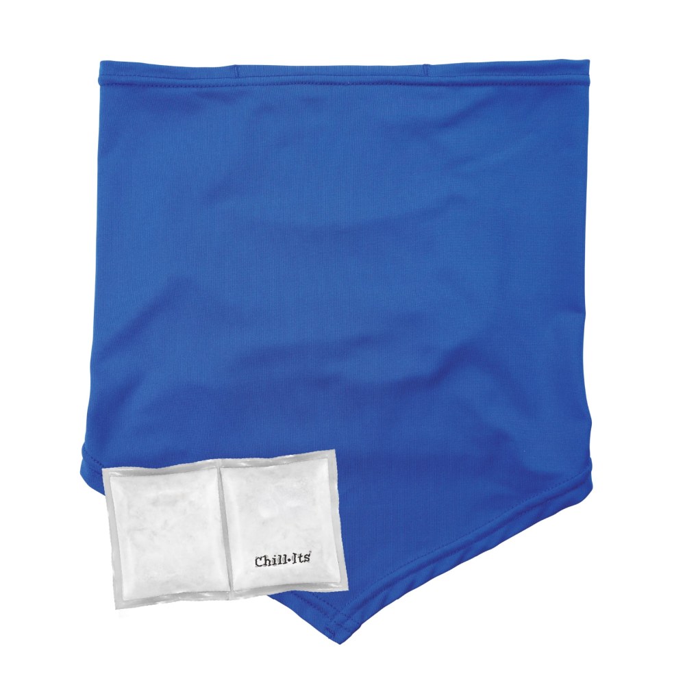 Ergodyne Chill-Its 6482 Cooling Neck Gaiter Bandana With Pocket/Ice Packs, S/M, Blue MPN:42135