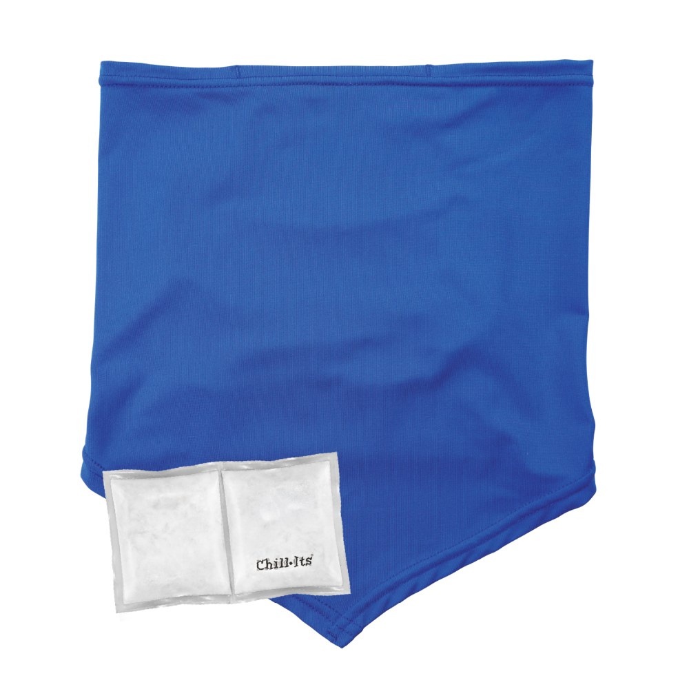 Ergodyne Chill-Its 6482 Cooling Neck Gaiter Bandana With Pocket/Ice Packs, L/XL, Blue MPN:42136